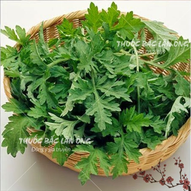 Ngải Cứu 500g