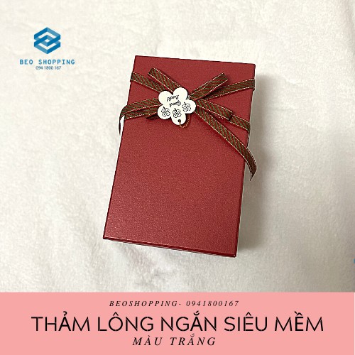 THẢM LÔNG MÀU TRẮNG NGẮN MỊN CHỤP HÌNH, TRẢI SÀN, LÀM NAIL