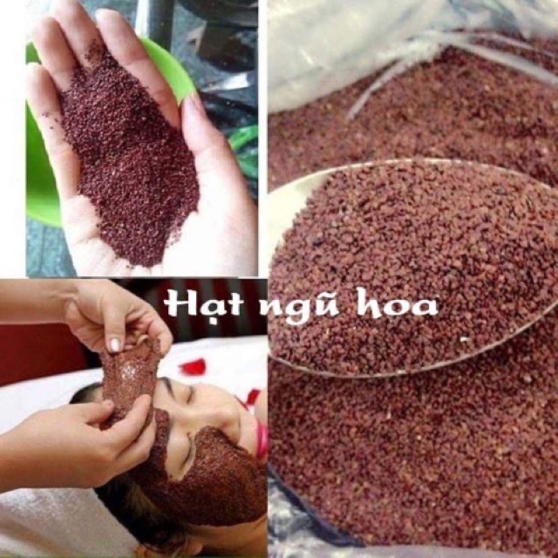 Ngũ hoa hạt ( đình lịch) loại đẹp sàng kĩ như hình