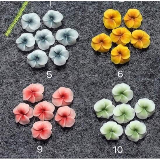 hoa đậu - hoa bột