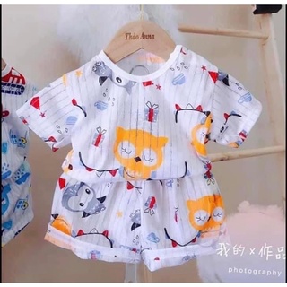 BỘ COTTON GIẤY THÔNG HƠI CÔC TAY