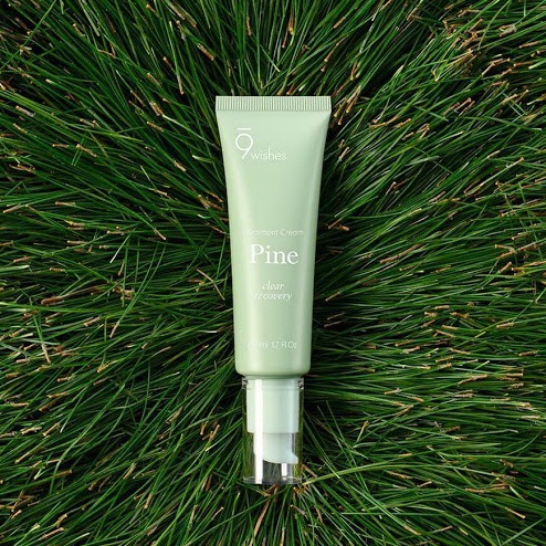 [Tem Chính Hãng] Kem dưỡng phục hồi 9 Wishes Pine Treatment Cream Hàn Quốc 50ml