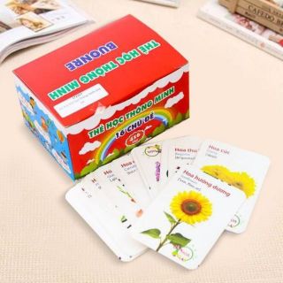 Thẻ học song ngữ flash card việt - anh