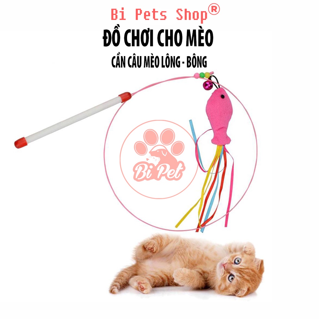 Đồ Chơi Cho Mèo - Cần câu mèo lông vũ | Bi Pets