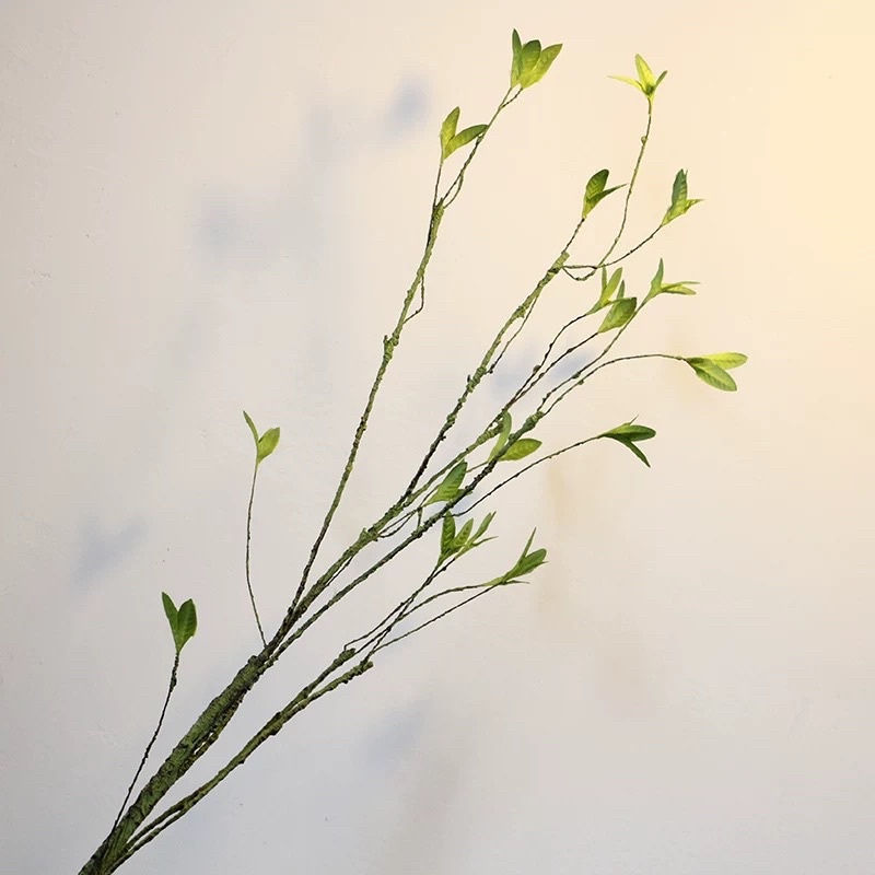 Cành lộc non cắm bình decor trang trí nhà cửa