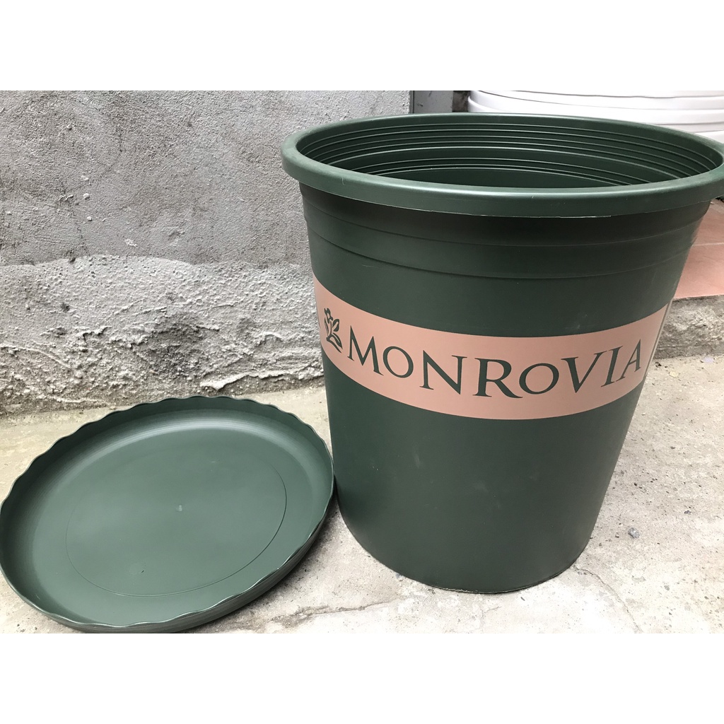 Combo chậu monrovia 7GL