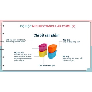 Bộ 4 hộp bảo quản thực phẩm Mini retangular 250ml Tupperware.