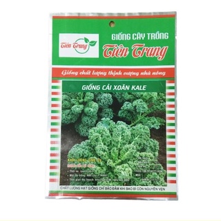 Hạt giống cải kale - cải xoăn gói 2g