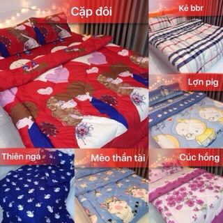 Bộ chăn phao ga gối poly