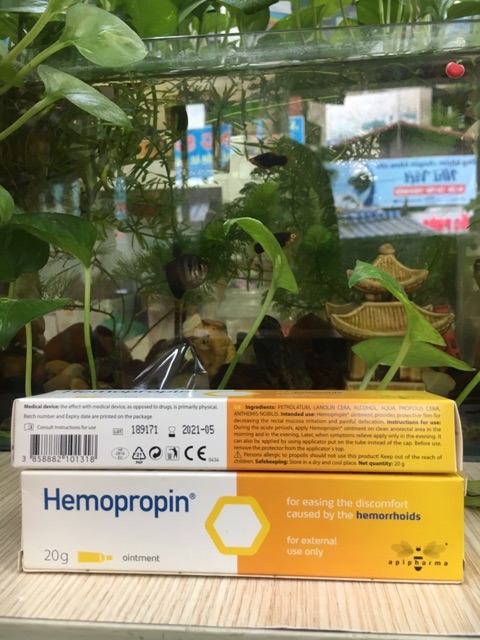 (nhập khẩu)HEMOPROPIN hết nỗi lo bệnh trĩ | BigBuy360 - bigbuy360.vn