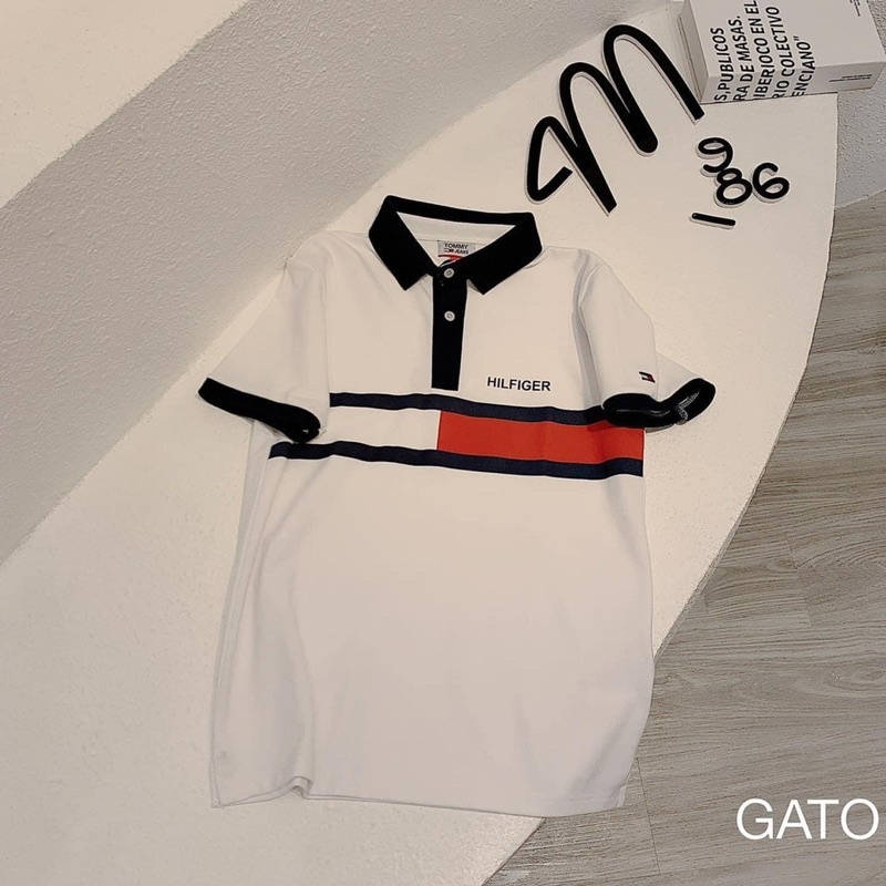 Áo POLO chữ hinf