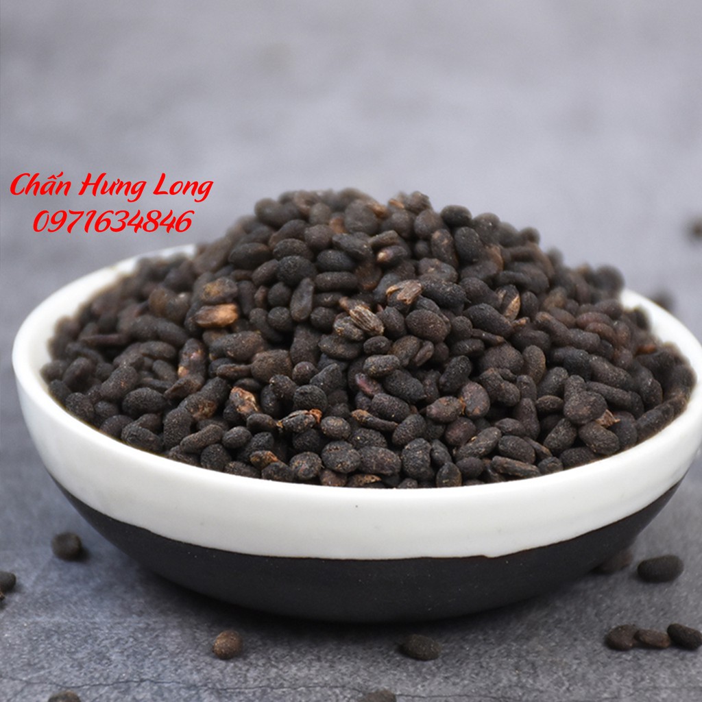 Bổ Cốt Chỉ - Phá Cố Chỉ 100g - Trị thận hư, di tinh, hoạt tinh, tiêu chảy, đái dầm, tiểu nhiều - Trà thảo mộc DaysTea