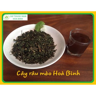 [GIÁ BUÔN] 100g CÂY RÂU MÈO HÒA BÌNH (XANH, SẠCH, THƠM)