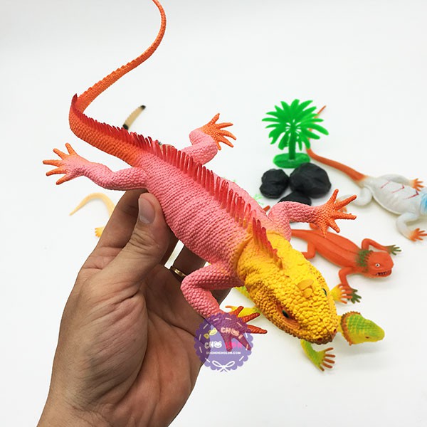 Bộ đồ chơi mô hình các loài tắc kè đại Thành Lộc bằng nhựa - Mô hình động vật cho bé