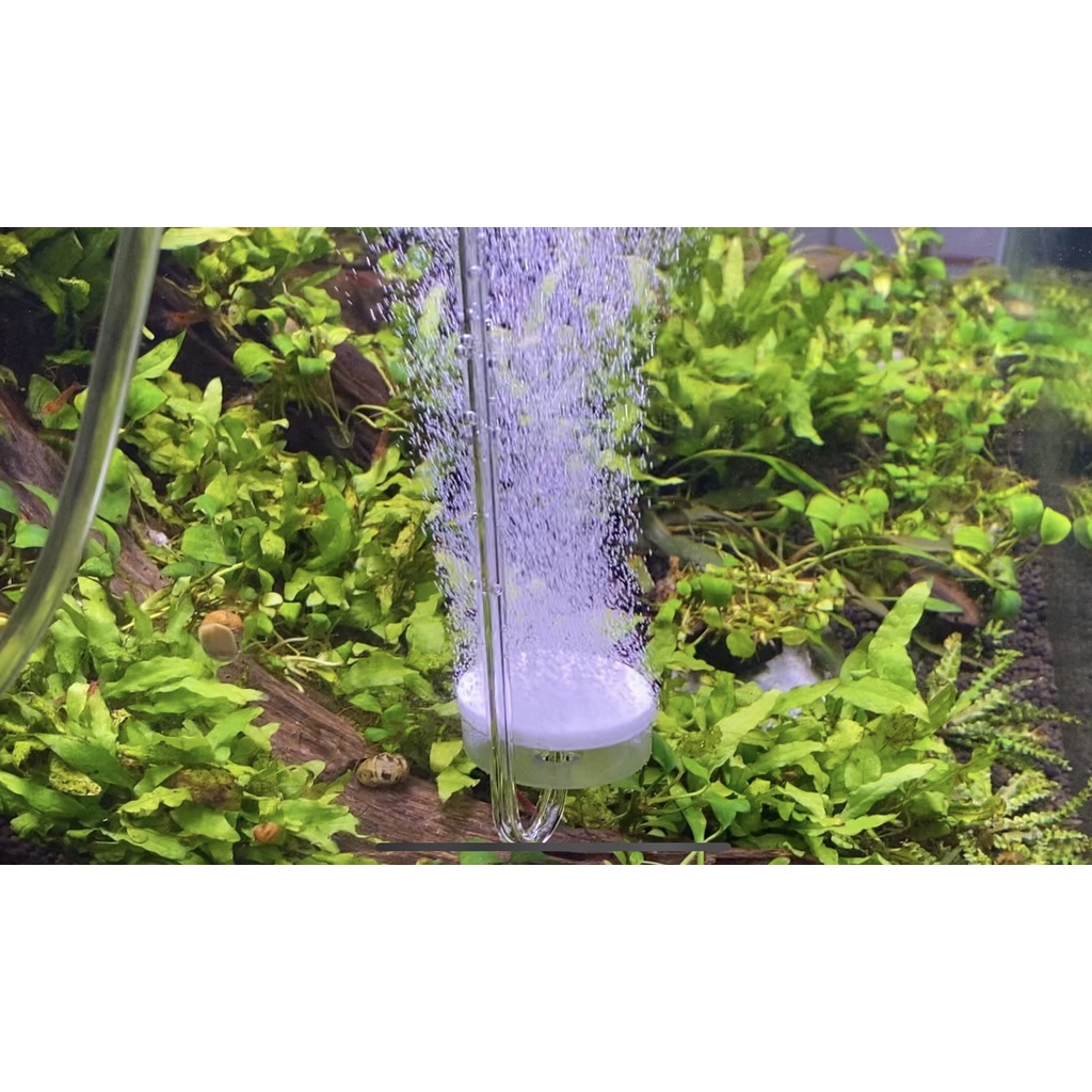 Đầu Sủi Oxy Siêu mịn treo thành bể A30-29, A40-29