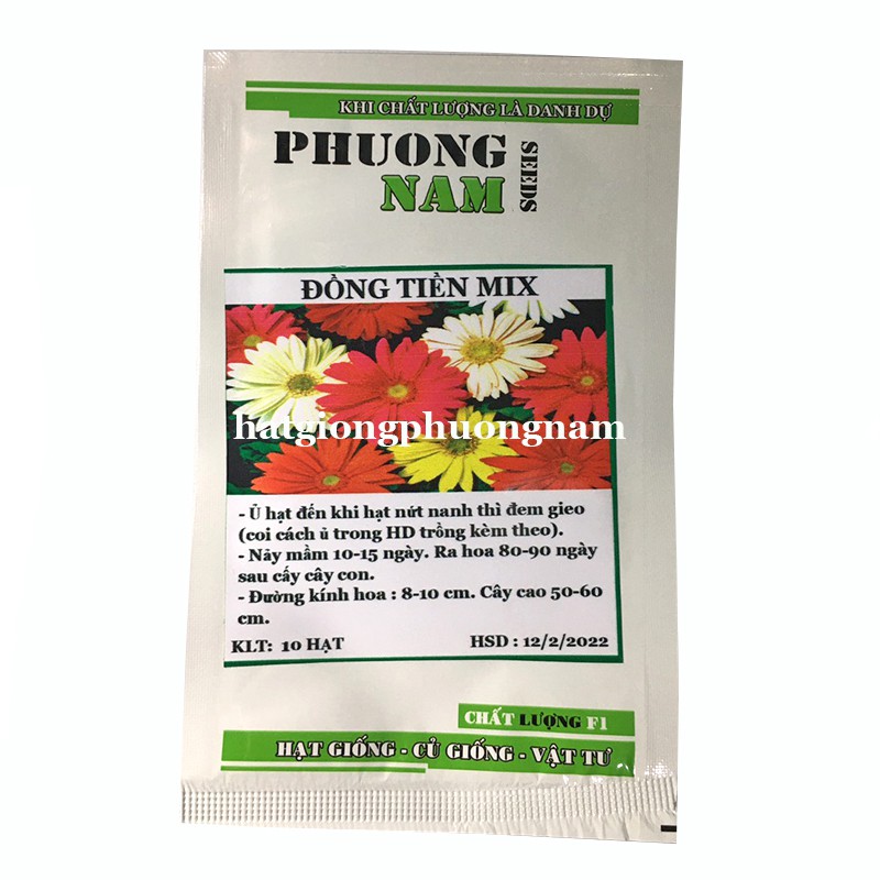  10H - HẠT GIỐNG HOA ĐỒNG TIỀN MIX