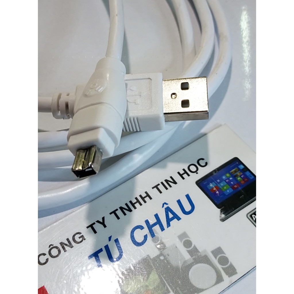 Cáp tín hiệu USB 2.0 ra 1394 Firewire 400 (4 PIN): Cáp dài 1.5M