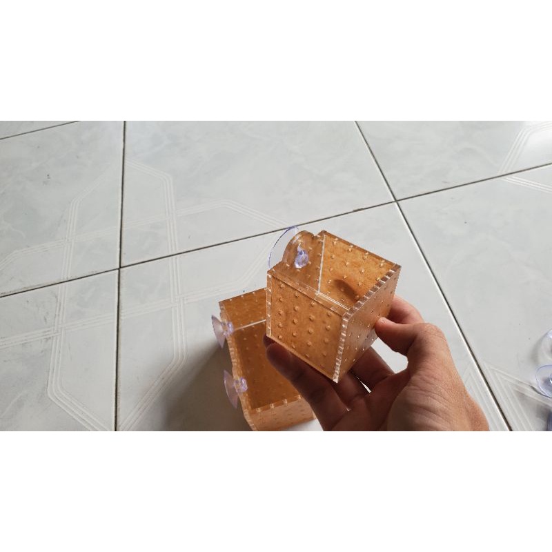Cốc thủy sinh mika