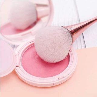 Cọ phủi bụi, trang điểm làm nail