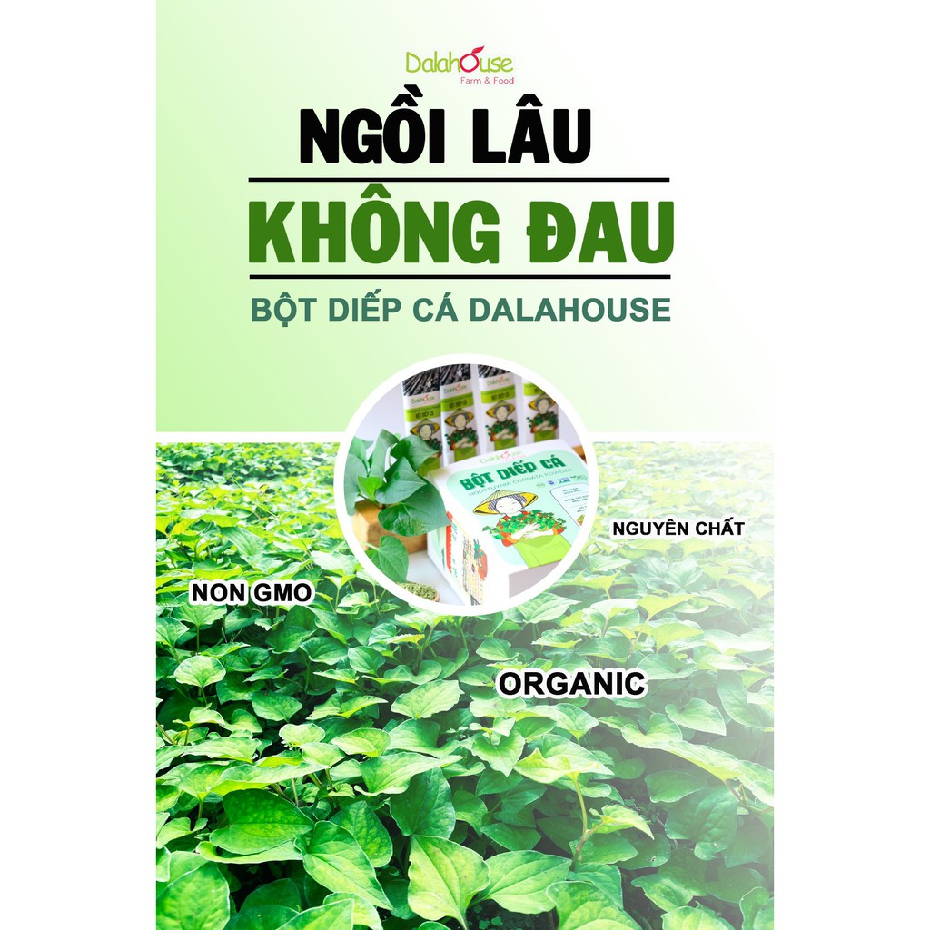 Bột diếp cá hỗ trợ Táo Bón, Quên Cảm Giác Đau, Dalahouse nguyên chất 100% (Hộp 20 gói nhỏ x 3gr) - NPP Anni Store