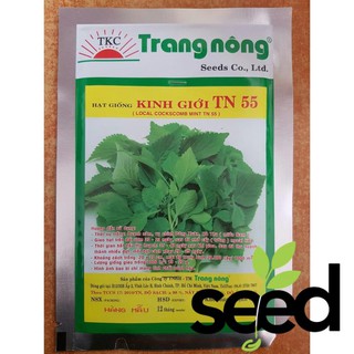 [MIỄN PHÍ SHIP] 1 Gram-  Hạt Giống Rau Kinh Giới