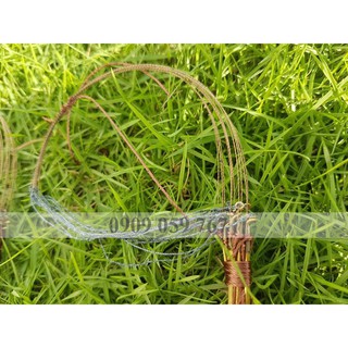 Bẫy Giò Chim Cu Gáy Mồi đất cáp 432