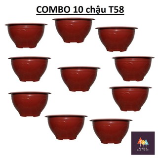 10 Chậu Không Khoan Lỗ T58 mã CN10X10T58 kt 56x27,8cm chuyên trồng sen nước, trồng hoa súng
