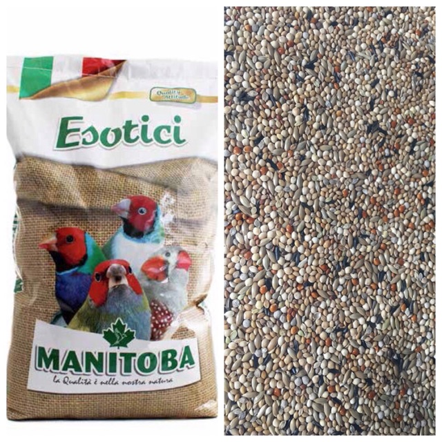 Hạt trộn 7 màu , finch, thạch yến 1kg.