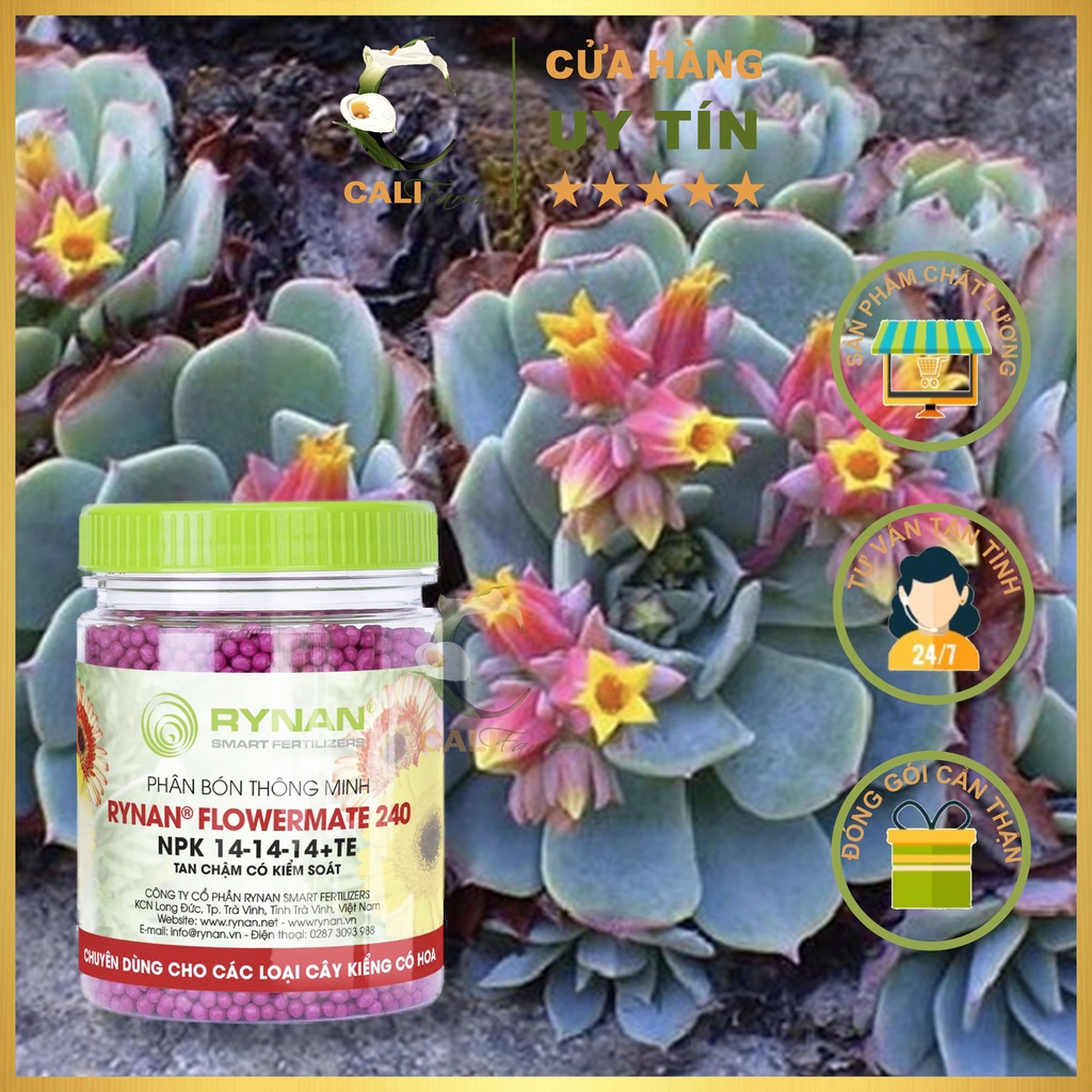 [Combo 3 hộp] Phân tan chậm RYNAN 240 NPK 14-14-14+TE chuyên dùng cho cây kiểng có hoa 150g [sieutietkiem]