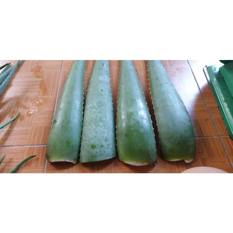 1kg lá nha đam