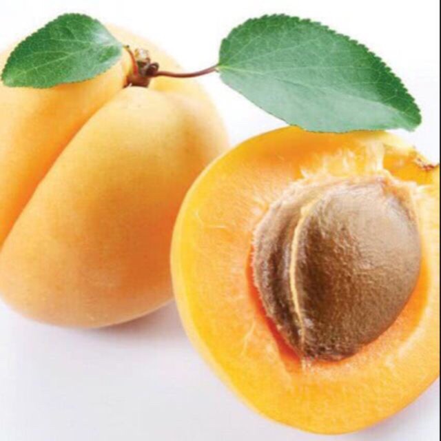Cây giống mơ vàng