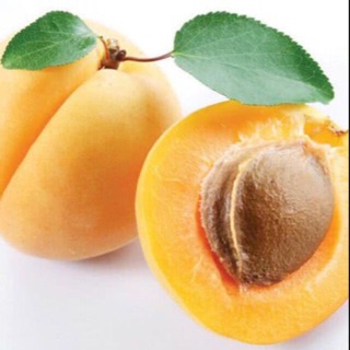 Cây giống mơ vàng