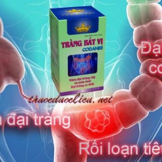 TRÀNG BÁT VỊ-CODANBE