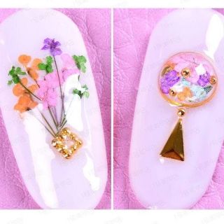 Hoa khô set 12 màu