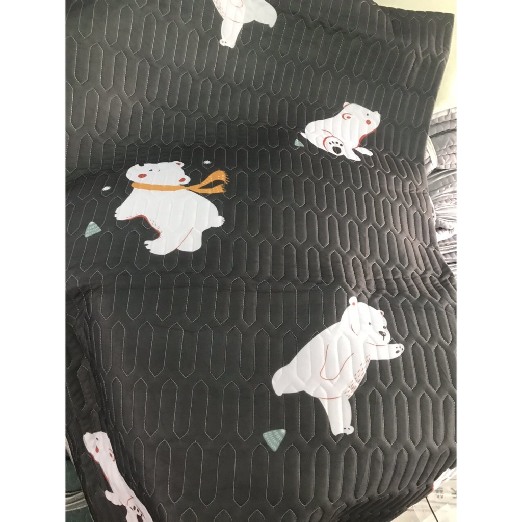 CHIẾU ĐIỀU HÒA TENCEL LATEX CAO SU NON in 3D siêu mát tặng kèm 2 vỏ gối | BigBuy360 - bigbuy360.vn