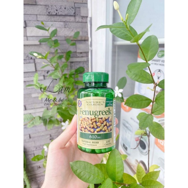 Viên lợi sữa Cỏ Cà Ri Fenugreek