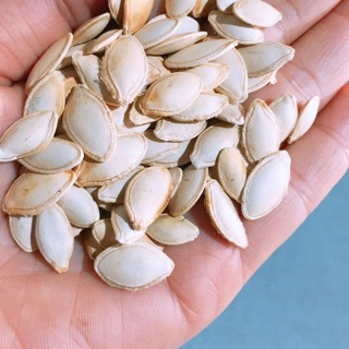 Combo 10kg hạt bí giá sỉ