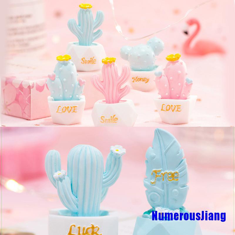 Set 10 Cây Xương Rồng Mini Dễ Thương Trang Trí