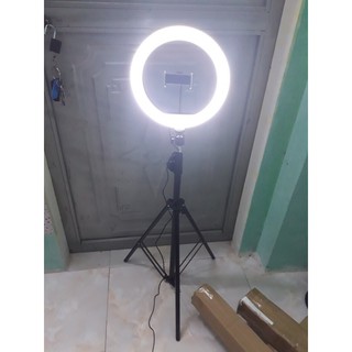 đèn live size 36 cm kèm chân đế 2m1