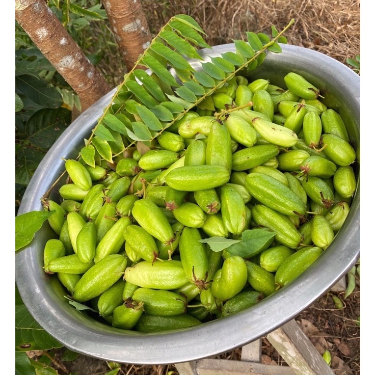 Mứt khế tây nhà làm(túi 500g)