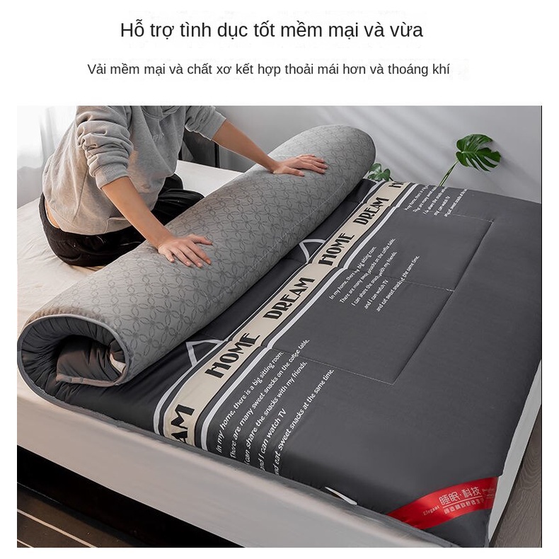 Nệm Ngủ Đơn / Đôi Dày Dặn Phù Hợp Cho Mùa Thu Đông