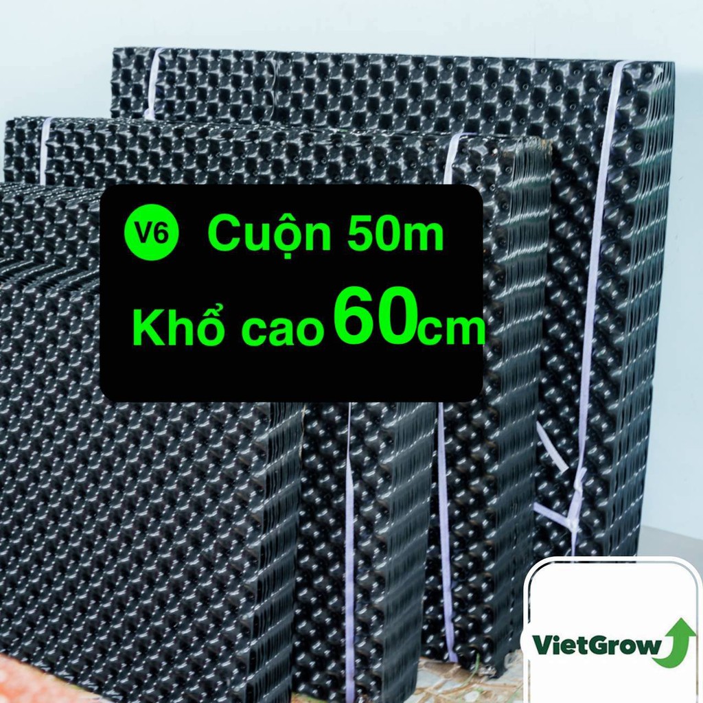 [Chính hãng] Bầu ươm cây V6 - Cuộn cao 60cm x 50 m