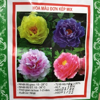 Hạt giống Hoa mẫu đơn Kép mix ☘️