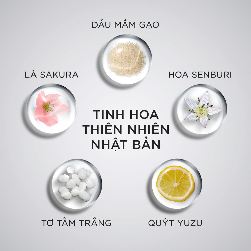 Dầu Gội Michiru Ngăn Gãy Rụng 95% &amp; Làm Dày Tóc Dành Cho Da Đầu Nhờn 180G