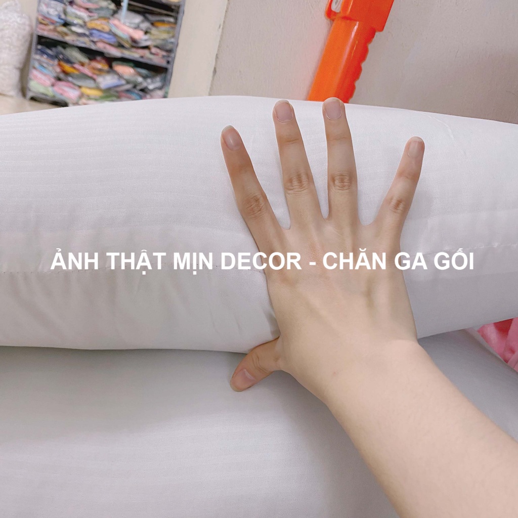 Ruột gối cotton dáng cao MỊN DECOR, đôi ruột gối meo meow xuất Italy cao cấp mềm mại êm ái (video ảnh thật)