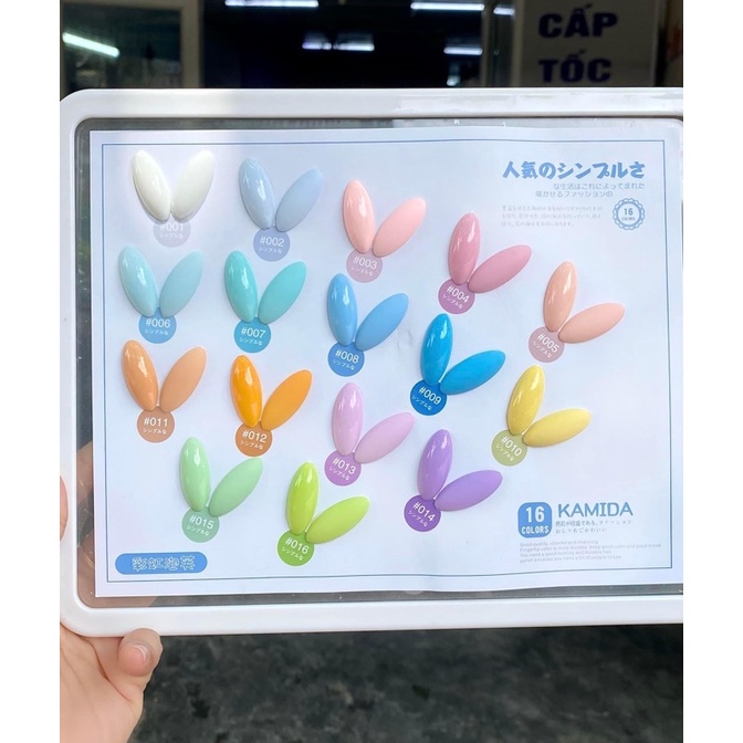 Sơn màu pastel toàn tông hot hit