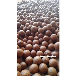 Hạt macca nứt vỏ 500g - đặc sản đắk nông