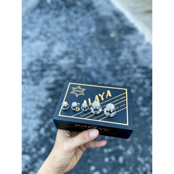 Tán Bích Salaya Mẫu Thái V2 gắn cốt 6-7-8-10-12-14