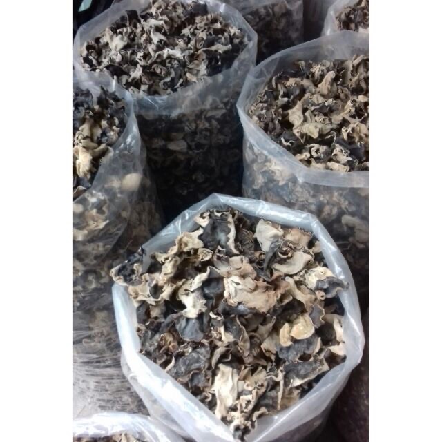 Mộc nhĩ Tai To cắt chân (nấm mèo)500g,200g,100gr