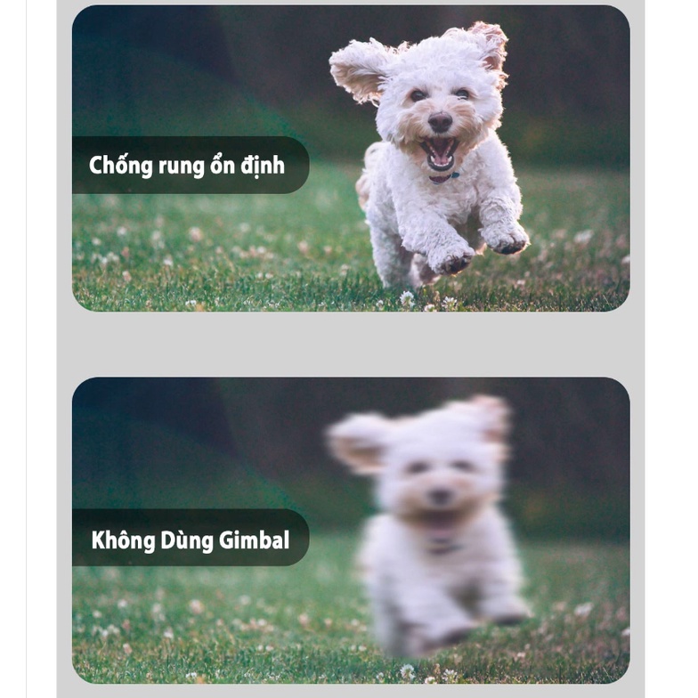 Gậy Tự Sướng Chống Rung L09 Có Đèn LED Kiểu Gimbal Tripod Dùng Cho Điện Thoại, Selfie Chụp Ảnh Bằng Remote Bluetooth 4.0